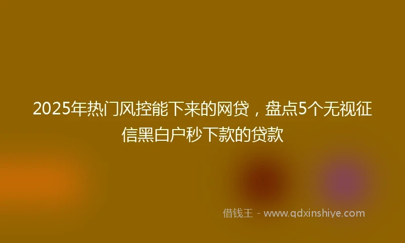 2025年热门风控能下来的网贷，盘点5个无视征信黑白户秒下款的贷款