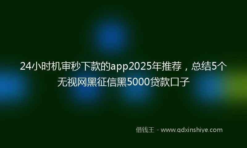24小时机审秒下款的app2025年推荐，总结5个无视网黑征信黑5000贷款口子
