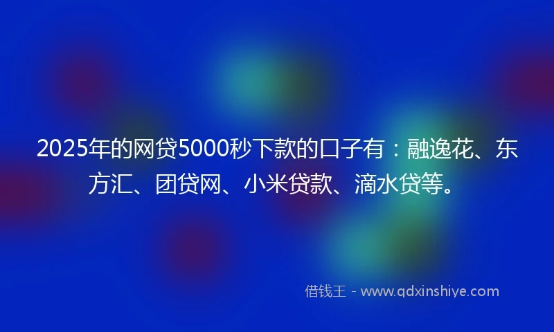 2025年的网贷5000秒下款的口子有：融逸花、东方汇、团贷网、小米贷款、滴水贷等。
