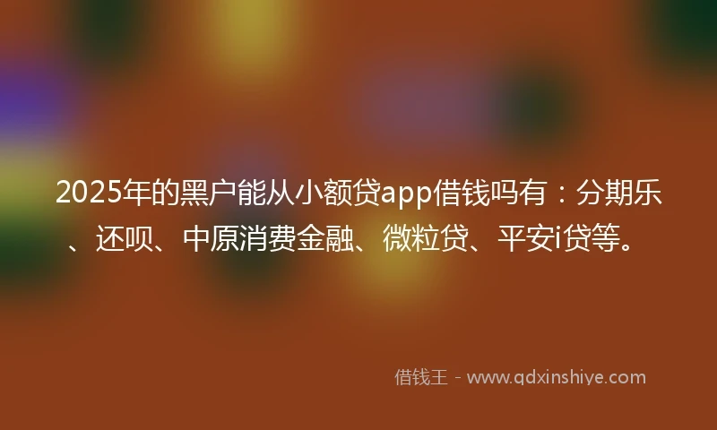 2025年的黑户能从小额贷app借钱吗有：分期乐、还呗、中原消费金融、微粒贷、平安i贷等。