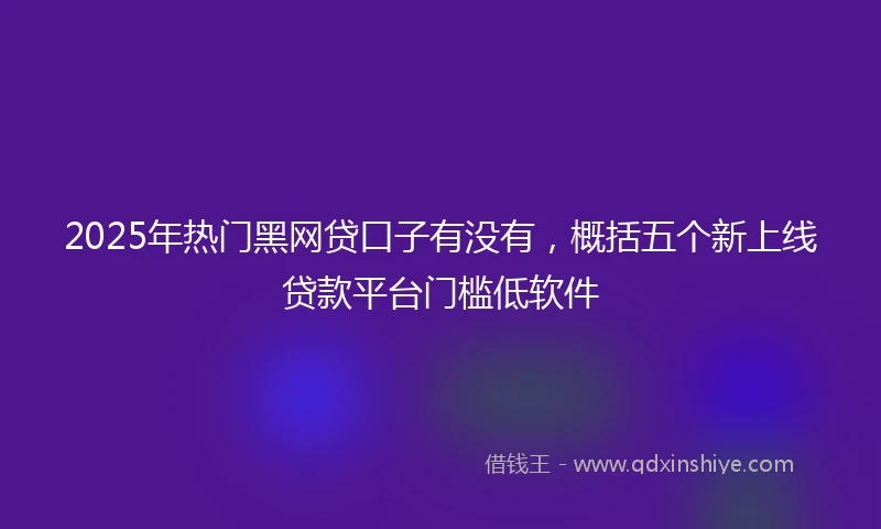2025年热门黑网贷口子有没有，概括五个新上线贷款平台门槛低软件