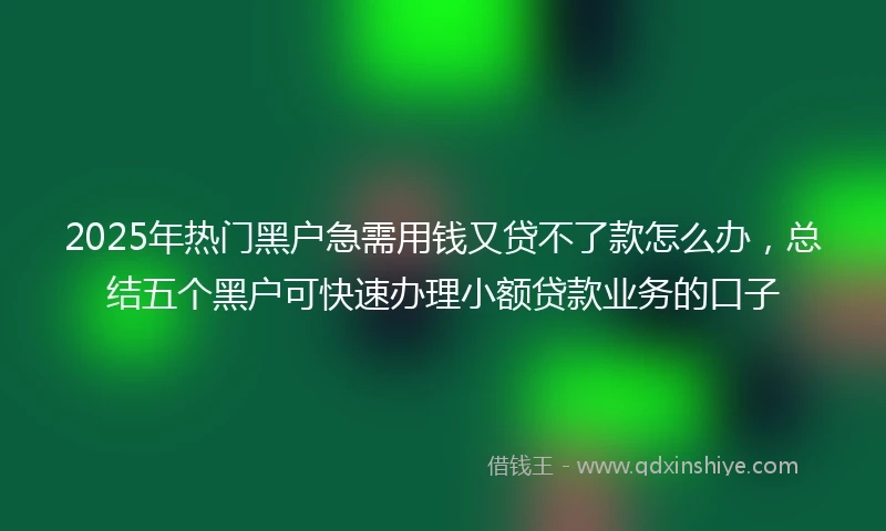 2025年热门黑户急需用钱又贷不了款怎么办，总结五个黑户可快速办理小额贷款业务的口子