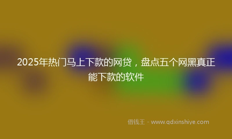 2025年热门马上下款的网贷，盘点五个网黑真正能下款的软件