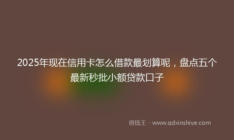 2025年现在信用卡怎么借款最划算呢，盘点五个最新秒批小额贷款口子