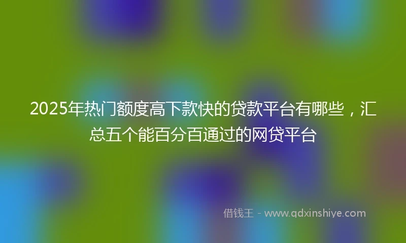 2025年热门额度高下款快的贷款平台有哪些，汇总五个能百分百通过的网贷平台
