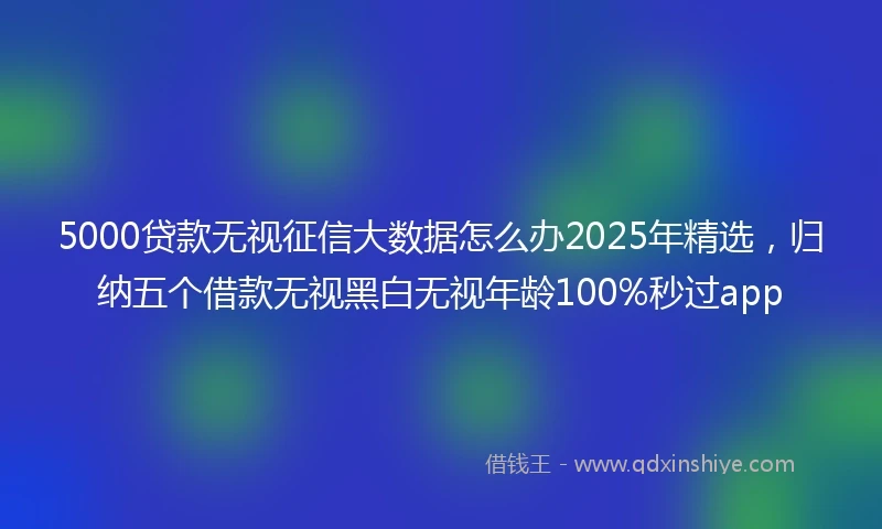 5000贷款无视征信大数据怎么办2025年精选，归纳五个借款无视黑白无视年龄100%秒过app