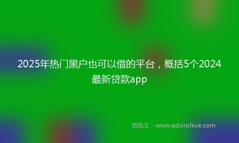 2025年热门黑户也可以借的平台，概括5个2024最新贷款app