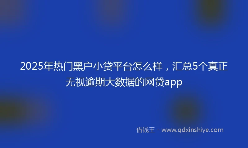 2025年热门黑户小贷平台怎么样，汇总5个真正无视逾期大数据的网贷app