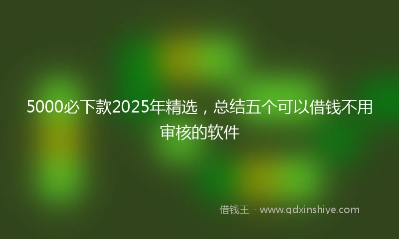 5000必下款2025年精选，总结五个可以借钱不用审核的软件
