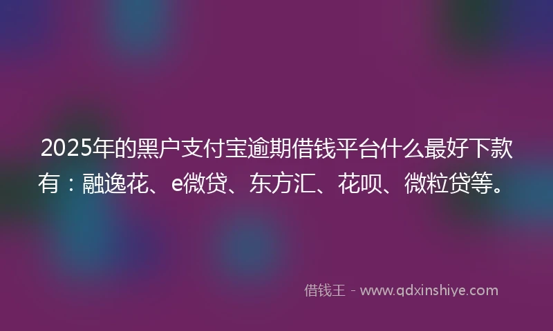 2025年的黑户支付宝逾期借钱平台什么最好下款有：融逸花、e微贷、东方汇、花呗、微粒贷等。