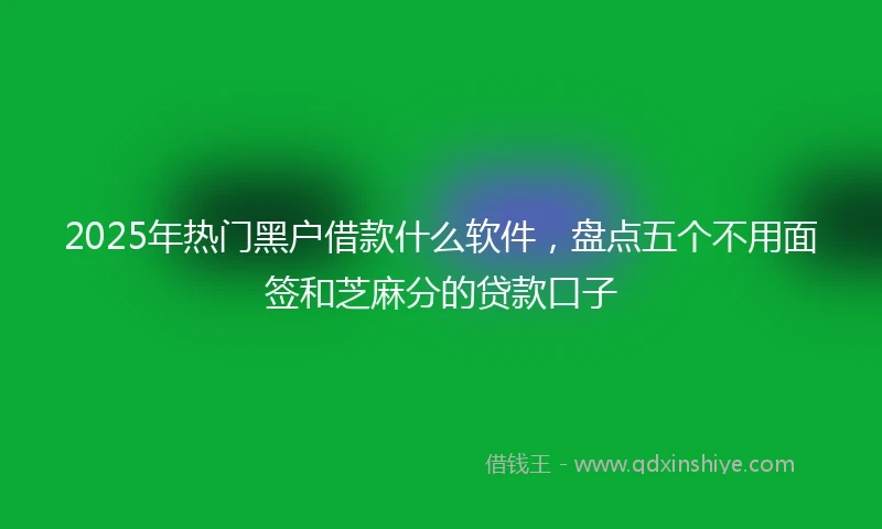2025年热门黑户借款什么软件，盘点五个不用面签和芝麻分的贷款口子