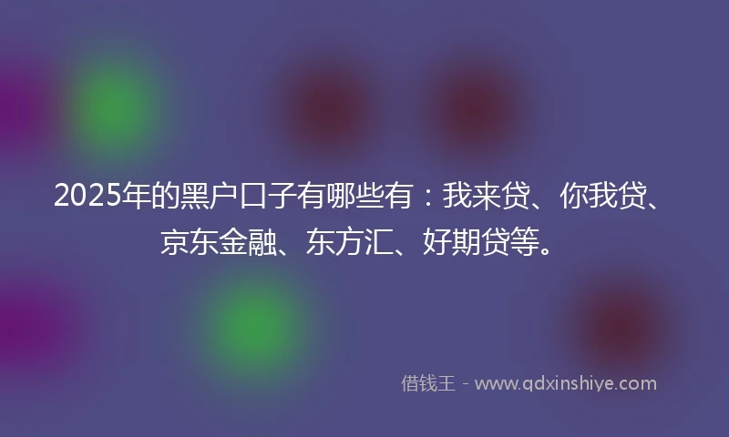 2025年的黑户口子有哪些有：我来贷、你我贷、京东金融、东方汇、好期贷等。