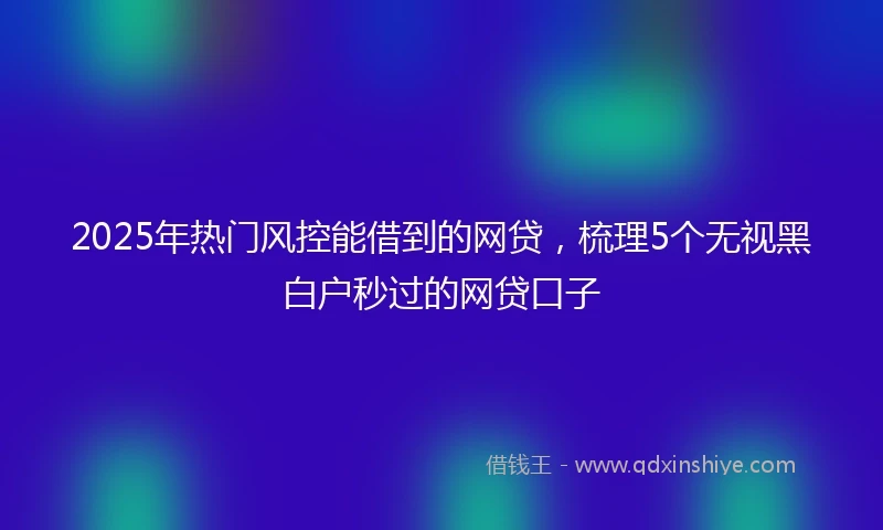 2025年热门风控能借到的网贷，梳理5个无视黑白户秒过的网贷口子