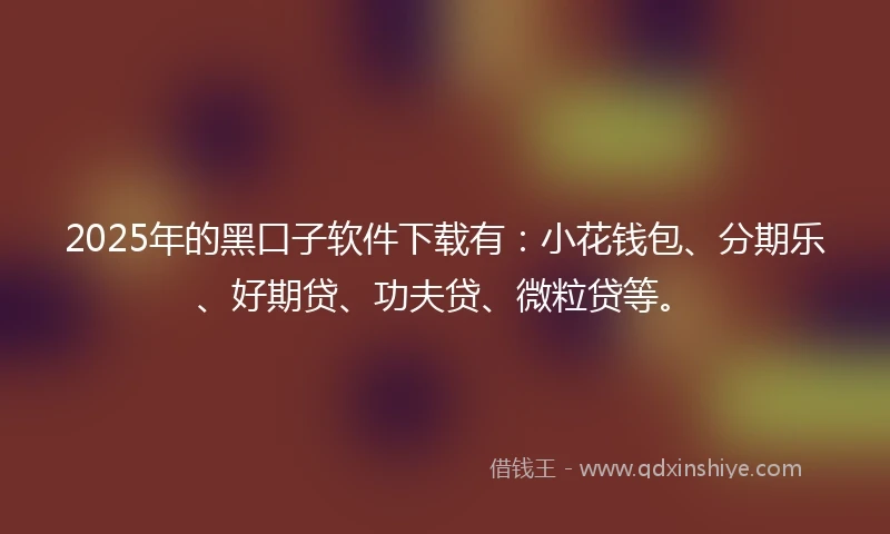 2025年的黑口子软件下载有：小花钱包、分期乐、好期贷、功夫贷、微粒贷等。