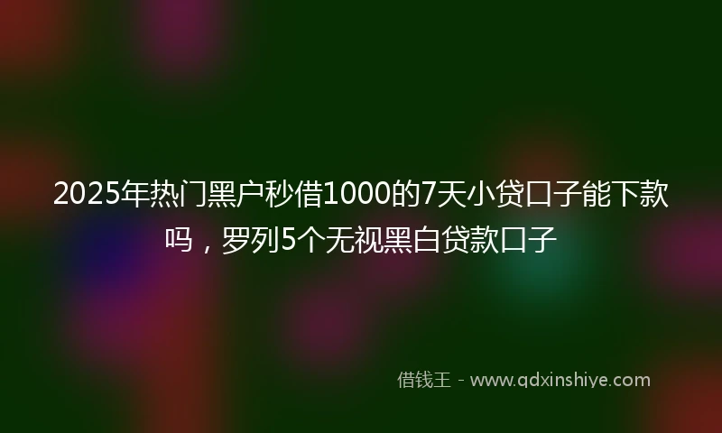 2025年热门黑户秒借1000的7天小贷口子能下款吗，罗列5个无视黑白贷款口子