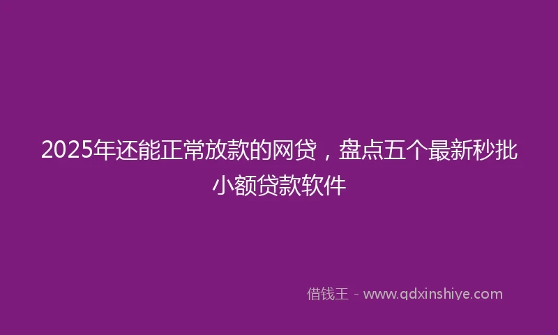 2025年还能正常放款的网贷，盘点五个最新秒批小额贷款软件