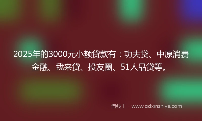 2025年的3000元小额贷款有：功夫贷、中原消费金融、我来贷、投友圈、51人品贷等。