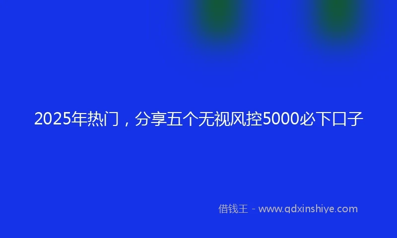 2025年热门，分享五个无视风控5000必下口子