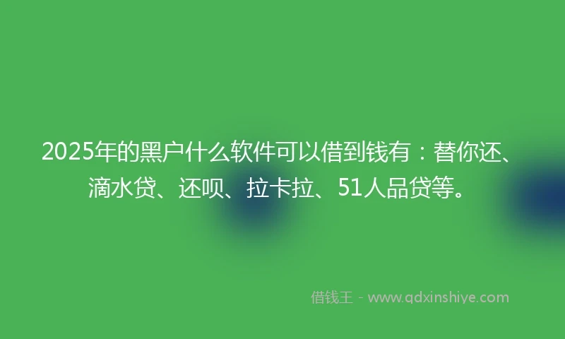 2025年的黑户什么软件可以借到钱有：替你还、滴水贷、还呗、拉卡拉、51人品贷等。