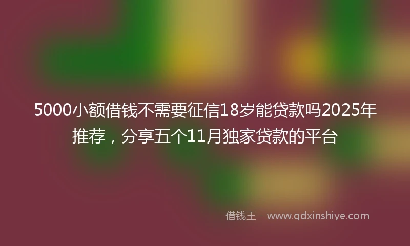 5000小额借钱不需要征信18岁能贷款吗2025年推荐，分享五个11月独家贷款的平台