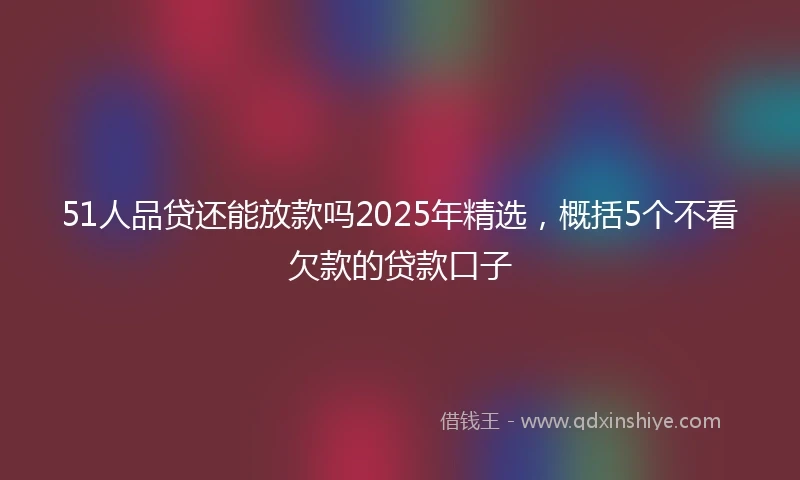 51人品贷还能放款吗2025年精选，概括5个不看欠款的贷款口子