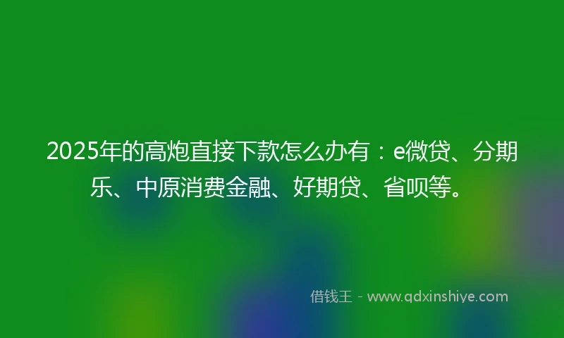 2025年的高炮直接下款怎么办有：e微贷、分期乐、中原消费金融、好期贷、省呗等。