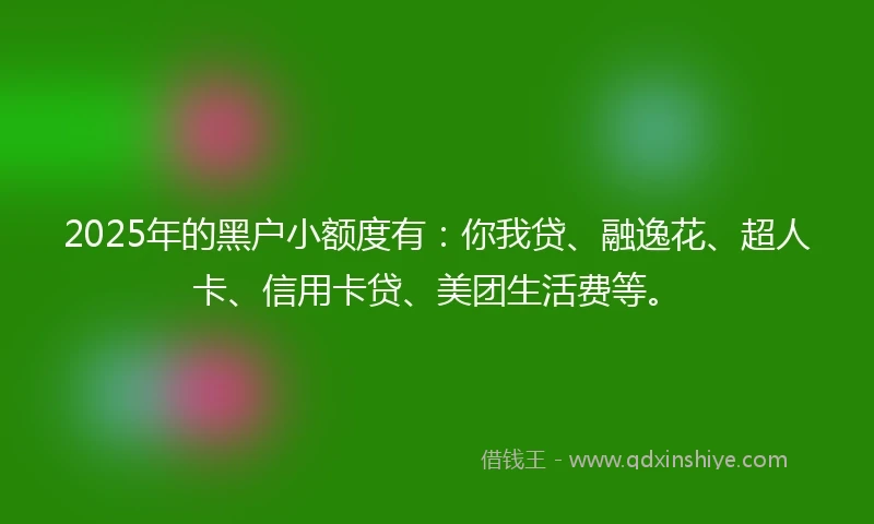 2025年的黑户小额度有：你我贷、融逸花、超人卡、信用卡贷、美团生活费等。