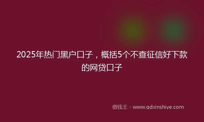 2025年热门黑户口子，概括5个不查征信好下款的网贷口子