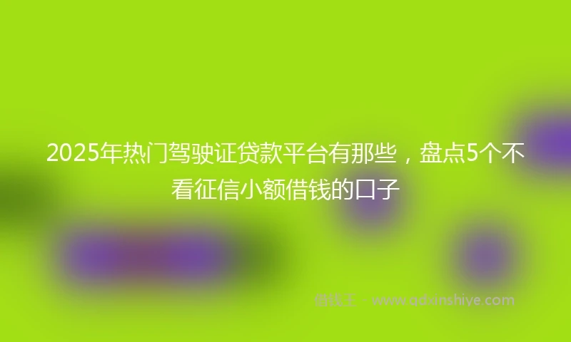2025年热门驾驶证贷款平台有那些，盘点5个不看征信小额借钱的口子