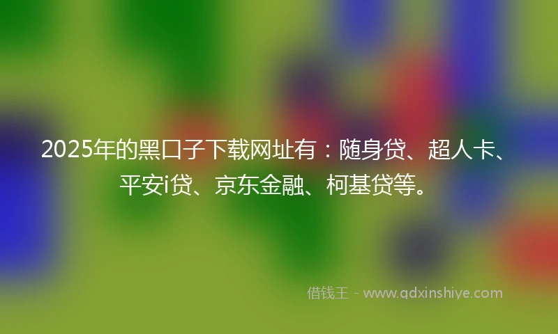 2025年的黑口子下载网址有：随身贷、超人卡、平安i贷、京东金融、柯基贷等。