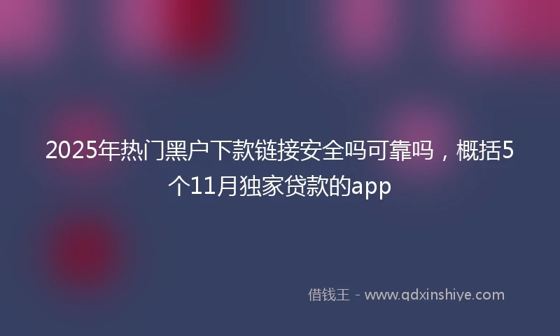2025年热门黑户下款链接安全吗可靠吗，概括5个11月独家贷款的app