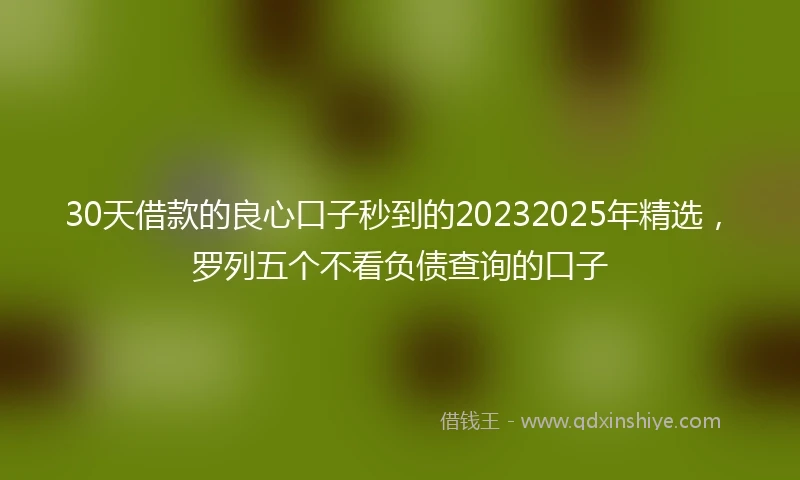 30天借款的良心口子秒到的20232025年精选，罗列五个不看负债查询的口子