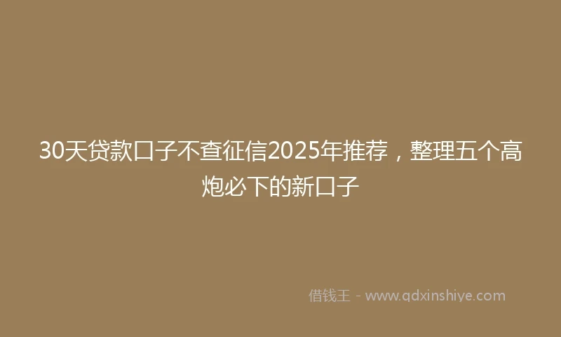 30天贷款口子不查征信2025年推荐，整理五个高炮必下的新口子