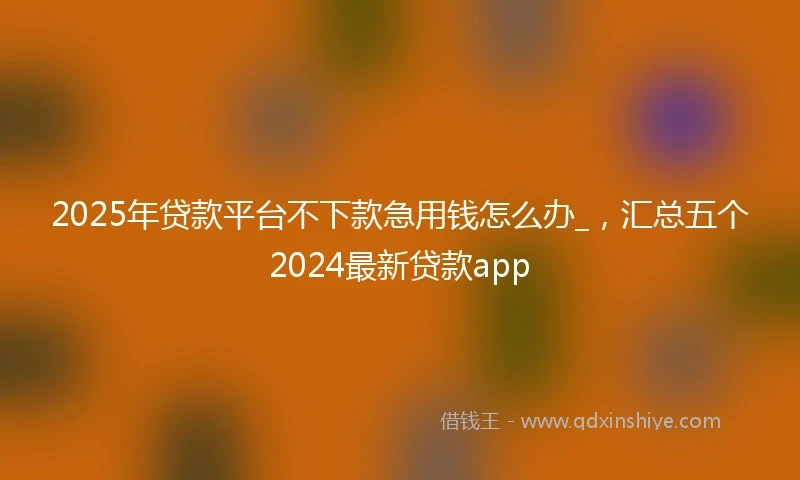 2025年贷款平台不下款急用钱怎么办_，汇总五个2024最新贷款app