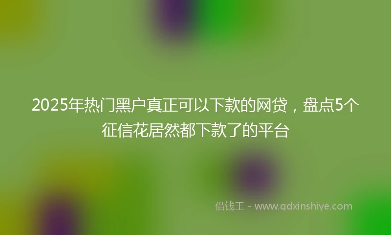 2025年热门黑户真正可以下款的网贷，盘点5个征信花居然都下款了的平台