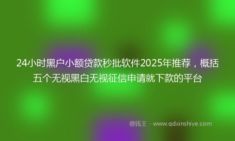 24小时黑户小额贷款秒批软件2025年推荐，概括五个无视黑白无视征信申请就下款的平台