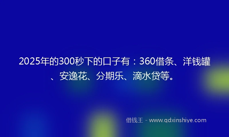 2025年的300秒下的口子有：360借条、洋钱罐、安逸花、分期乐、滴水贷等。