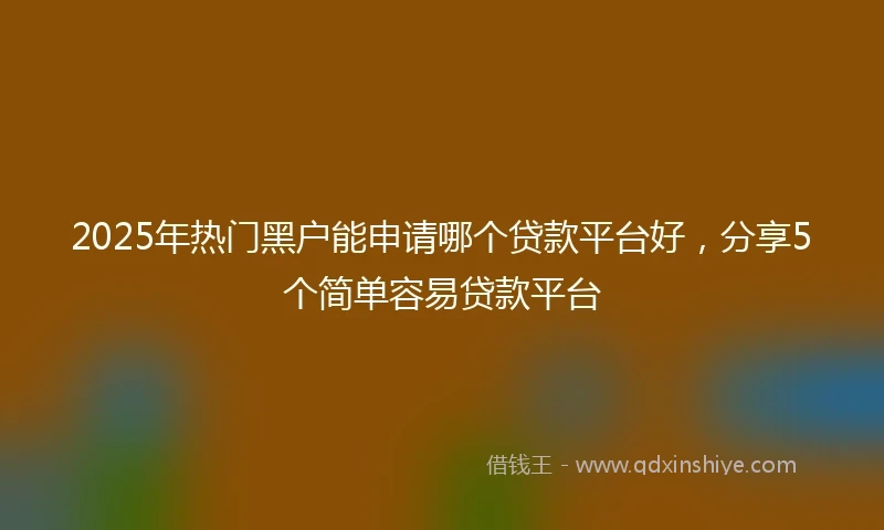 2025年热门黑户能申请哪个贷款平台好，分享5个简单容易贷款平台