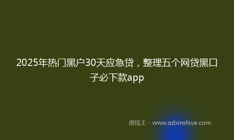 2025年热门黑户30天应急贷，整理五个网贷黑口子必下款app