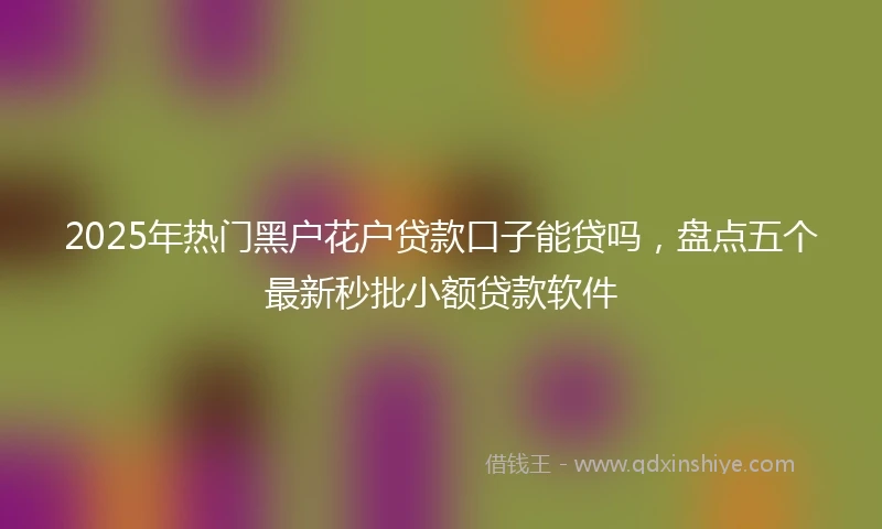 2025年热门黑户花户贷款口子能贷吗，盘点五个最新秒批小额贷款软件