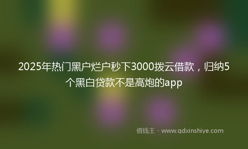 2025年热门黑户烂户秒下3000拨云借款，归纳5个黑白贷款不是高炮的app