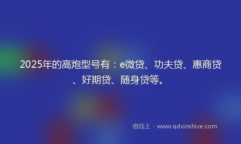 2025年的高炮型号有：e微贷、功夫贷、惠商贷、好期贷、随身贷等。
