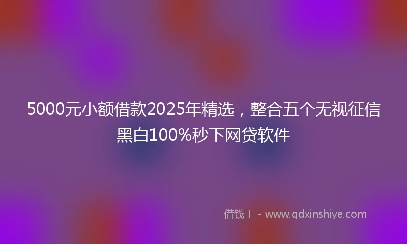 5000元小额借款2025年精选，整合五个无视征信黑白100%秒下网贷软件