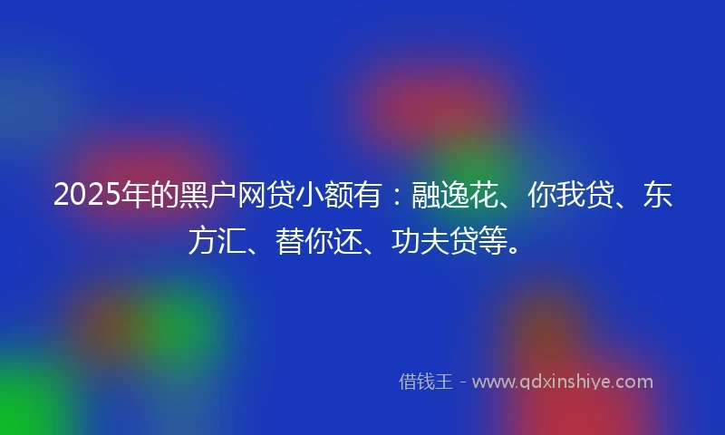 2025年的黑户网贷小额有：融逸花、你我贷、东方汇、替你还、功夫贷等。