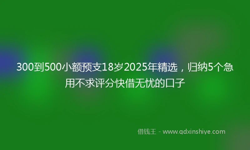 300到500小额预支18岁2025年精选，归纳5个急用不求评分快借无忧的口子