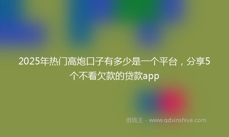 2025年热门高炮口子有多少是一个平台，分享5个不看欠款的贷款app