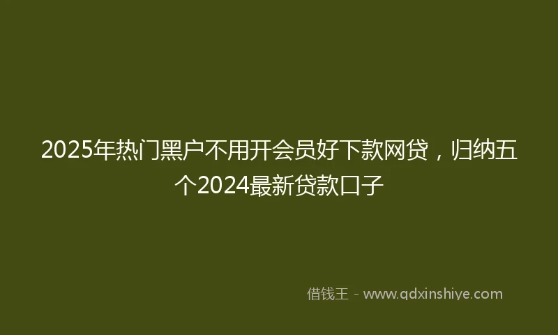 2025年热门黑户不用开会员好下款网贷，归纳五个2024最新贷款口子