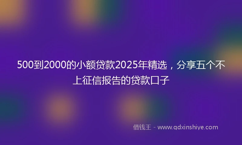 500到2000的小额贷款2025年精选，分享五个不上征信报告的贷款口子
