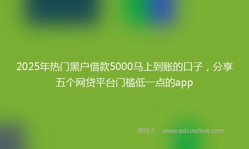 2025年热门黑户借款5000马上到账的口子，分享五个网贷平台门槛低一点的app