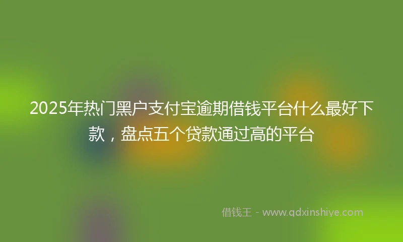 2025年热门黑户支付宝逾期借钱平台什么最好下款，盘点五个贷款通过高的平台